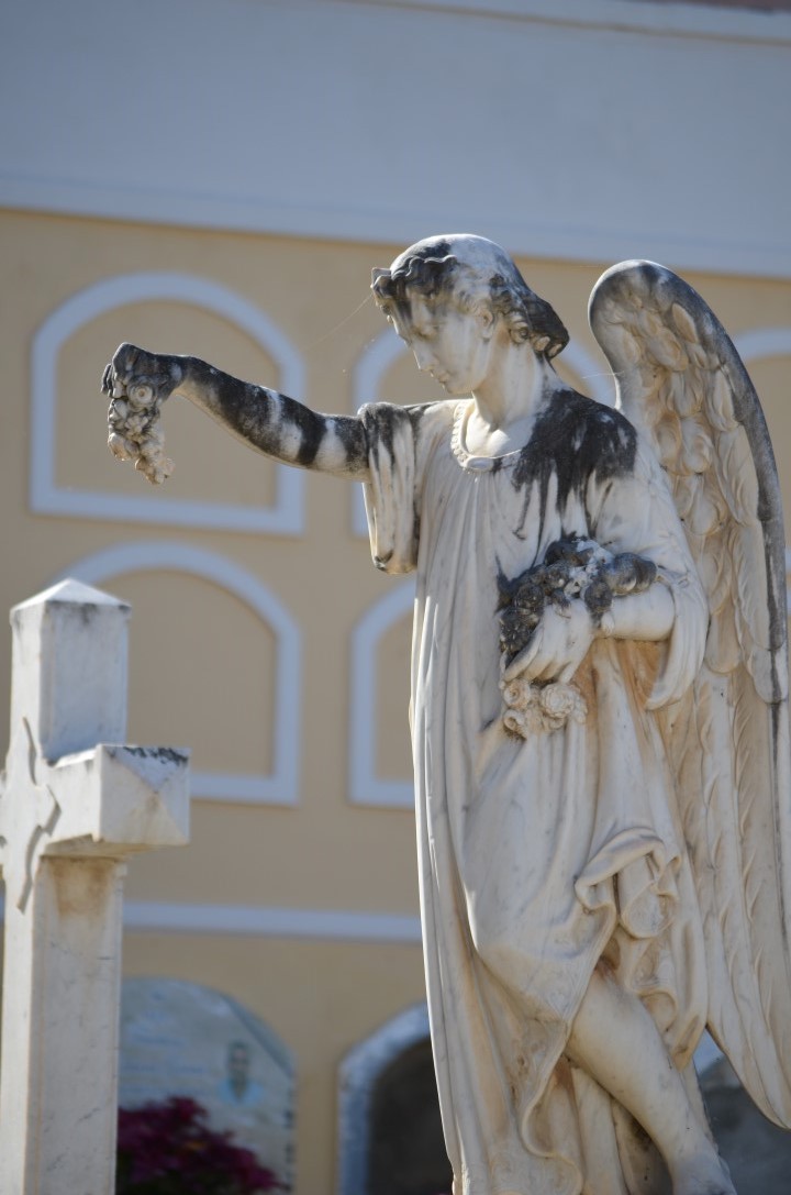 Cementerio Municipal 2