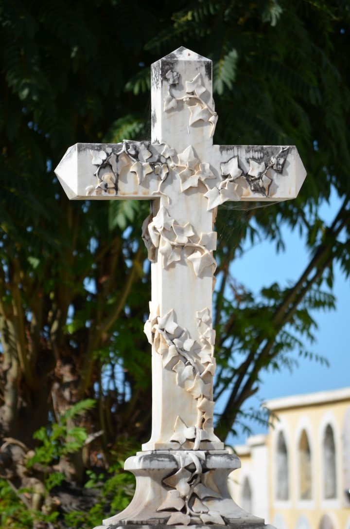 Cementerio Municipal 3