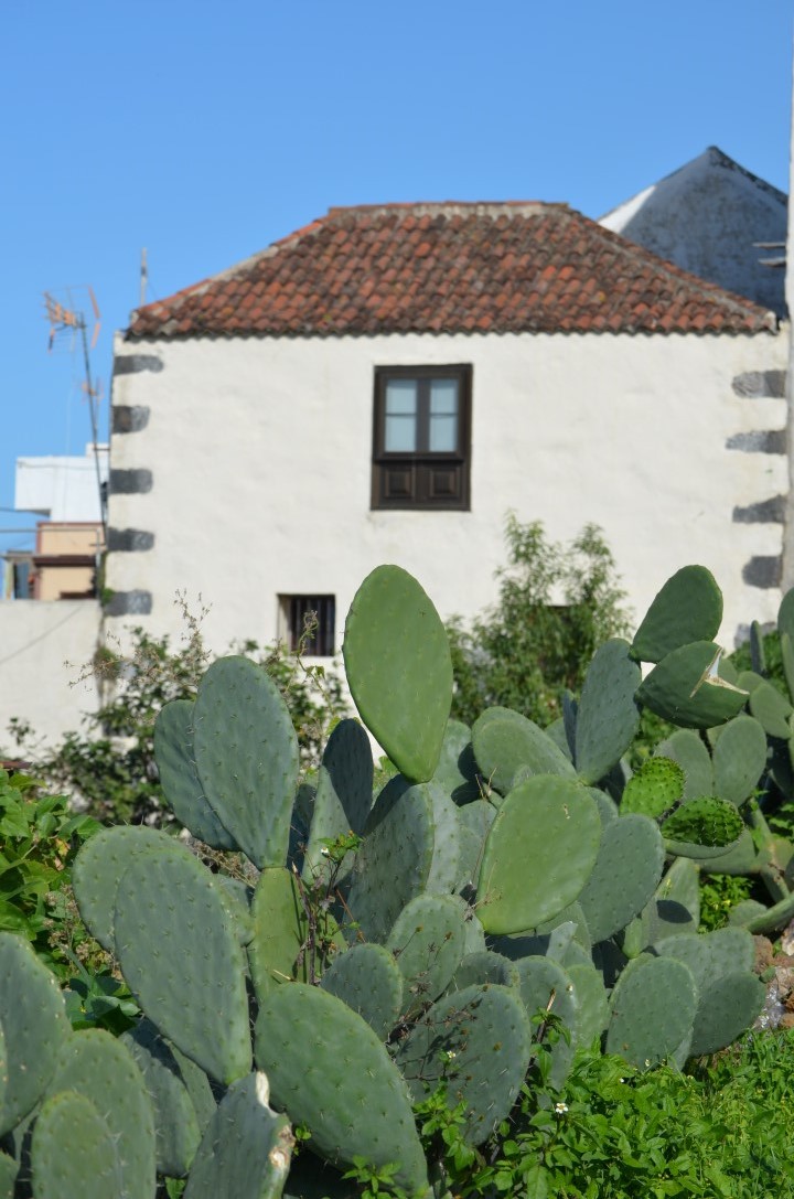 Arquitectura en la Villa de Arriba 1