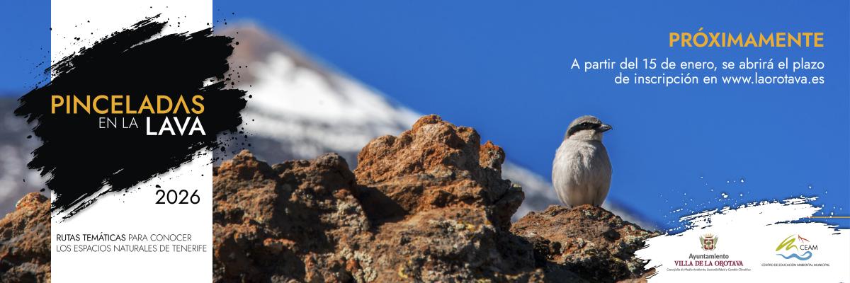 Pinceladas en la lava 2026