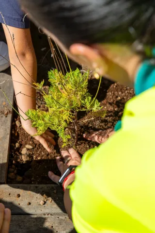 489889559_10234568875260786_548625755423879044_n