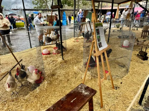 a8272c80-2744-40e7-a524-d164a76a614f