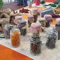 mercadillo_15