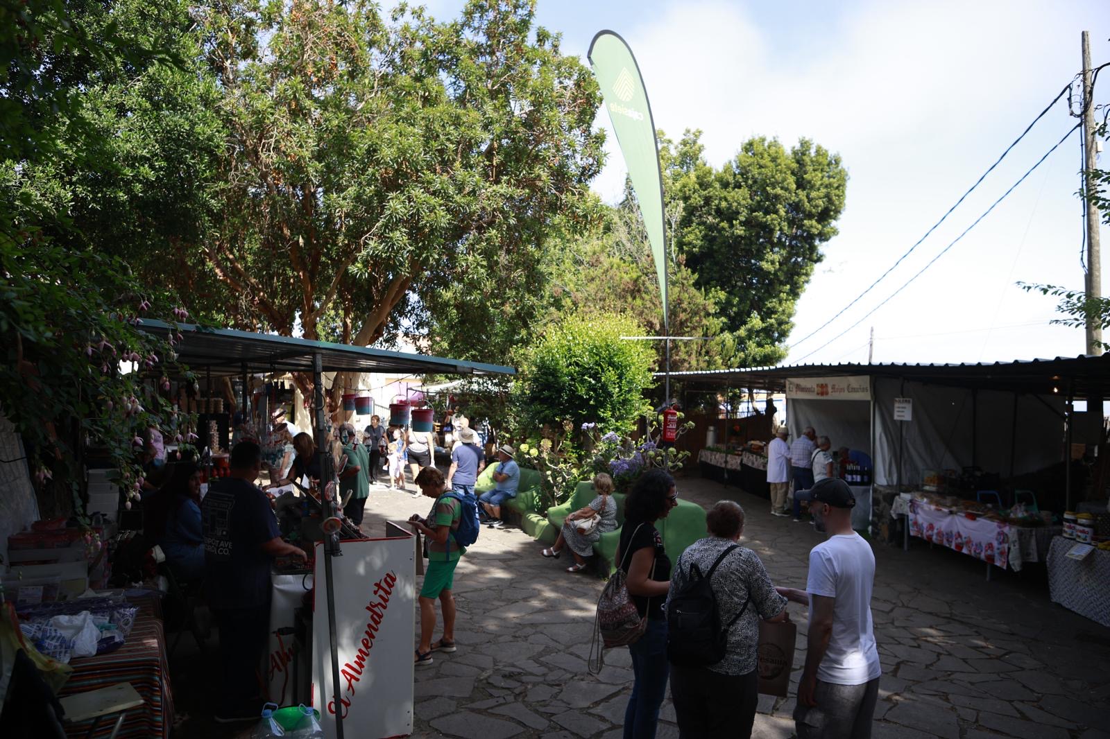 Pinolere2026