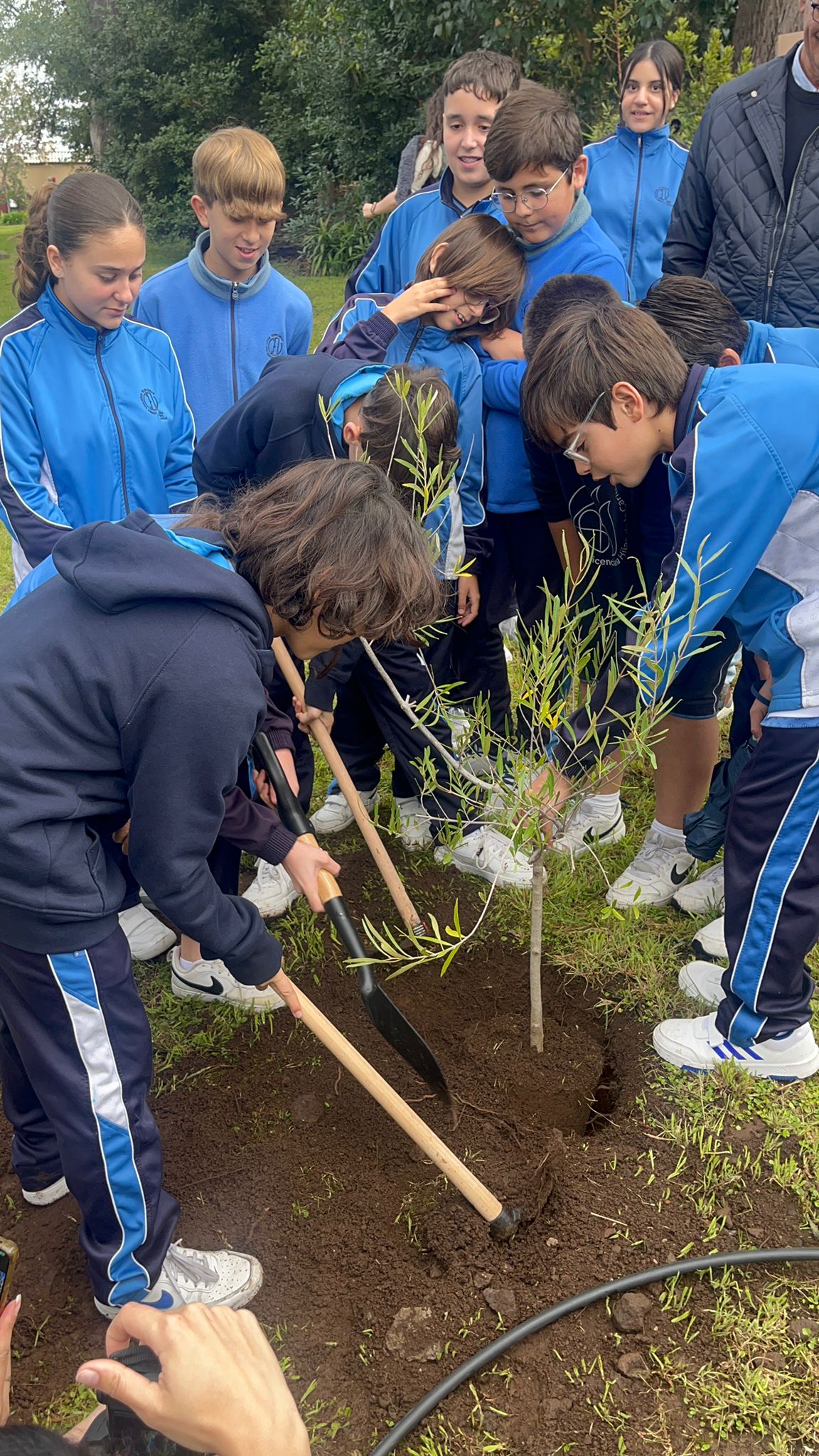 plantación en 2024