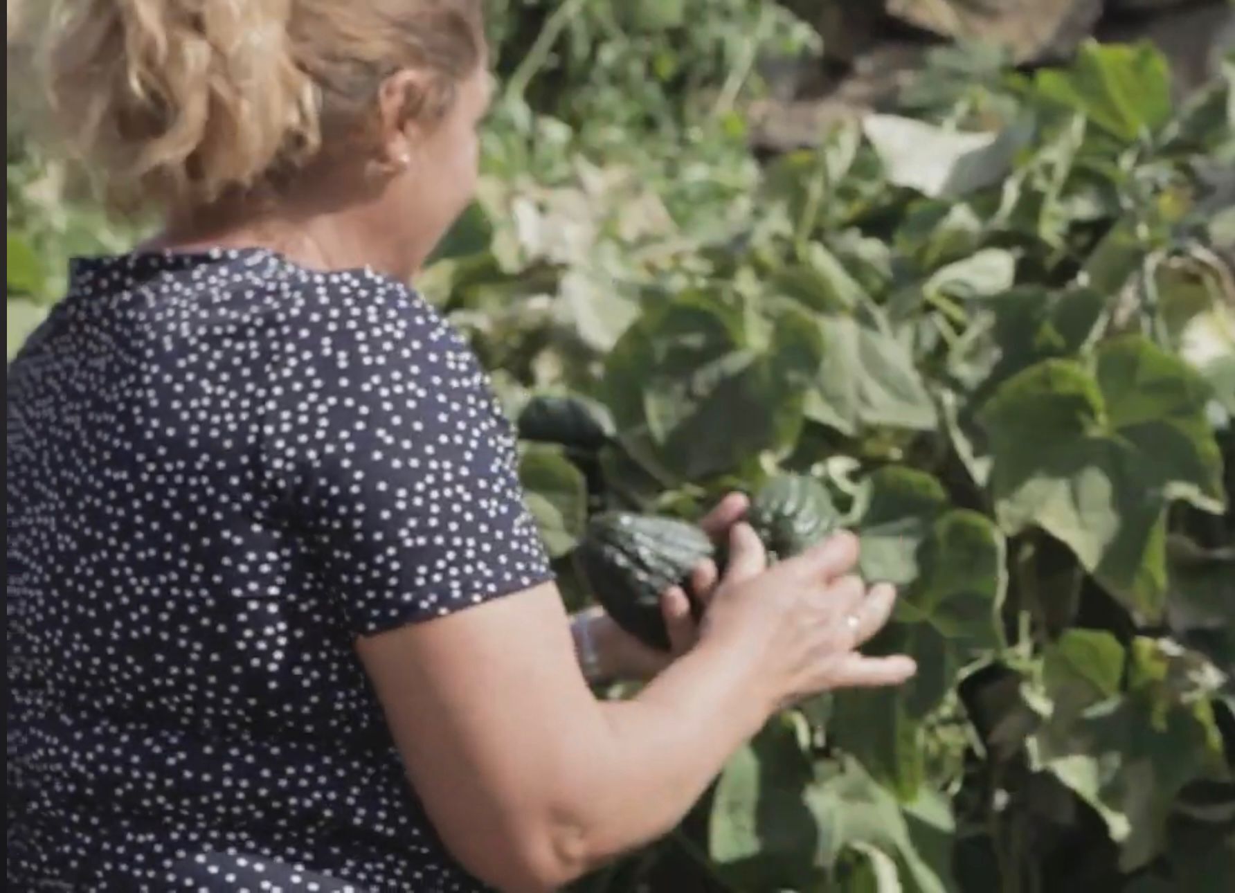 Isabel-Cabrera_-agricultora