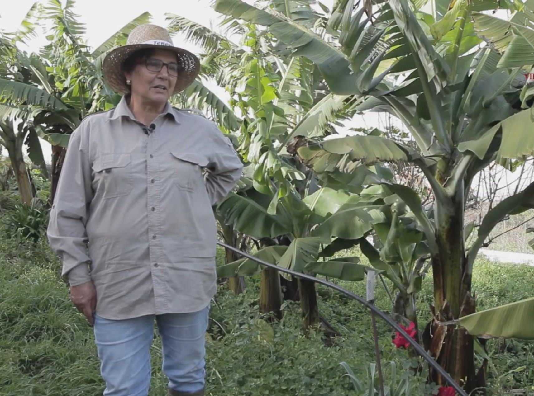 María-del-Rosario-Labrador_-agricultora