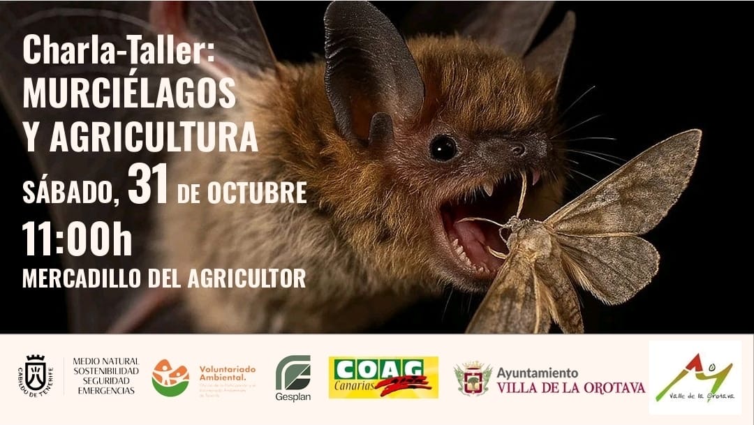 Charla taller murcielagos