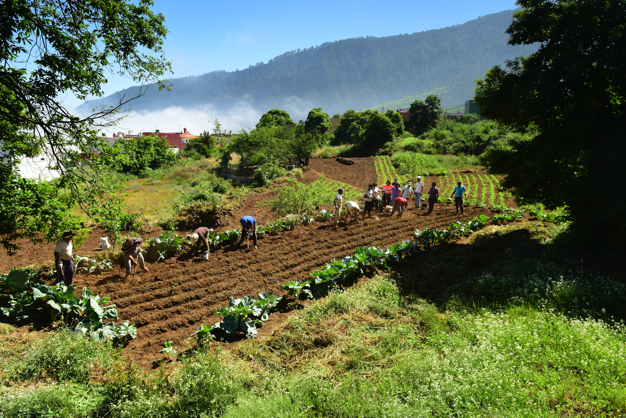 Captura de pantalla 2017-07-05 a las 17.58.15