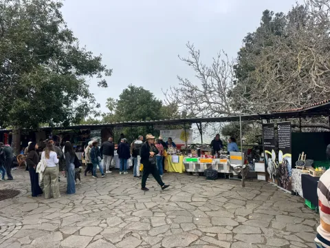 pinolereferia