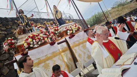 ganado