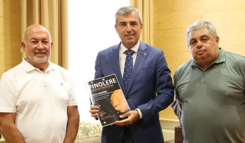 Pinolerepremio