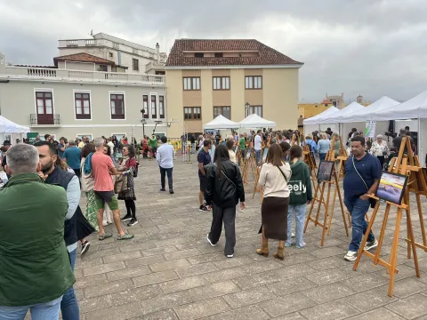 398881204_743336161170169_4465619462724760665_n