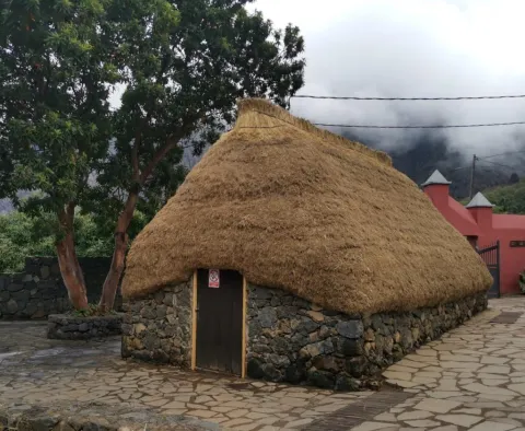 8c2ea100-1bf1-469f-89bf-d78a5f27a3cf