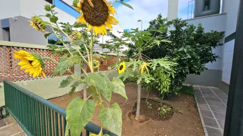 ef6e8f7a-63f3-4066-9d7c-2b56cc3bb3a1