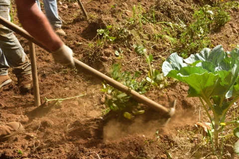Captura de pantalla 2017-07-05 a las 17.57.50