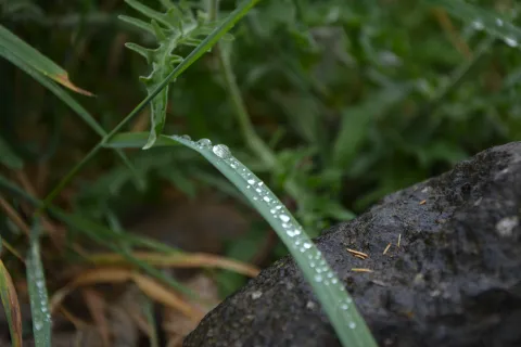 Captura de pantalla 2017-07-05 a las 18.00.27