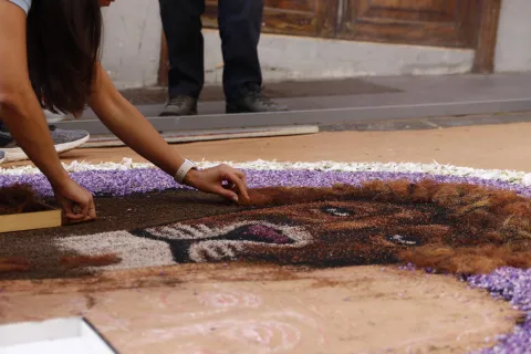 354421678_656477649856021_1274019335119770637_n