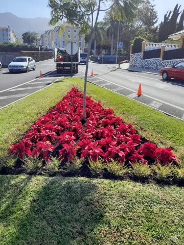 WhatsApp Image 2024-12-06 at 11.32.00 (3)