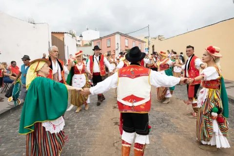 ROMERIA 22-205 (Mediana)