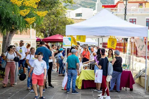 381009553_718398946997224_2965725766399065475_n