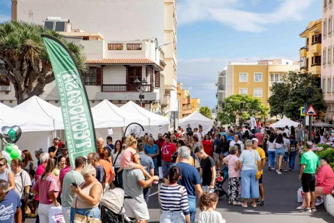 382457494_718399076997211_5479013714683973774_n