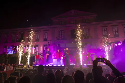 encendido navidad-24