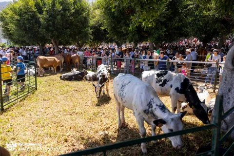 354272726_657815963055523_3025355684426650429_n