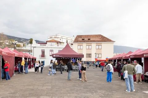 8399dba6-26d7-47cd-b876-eca4b99ef90d