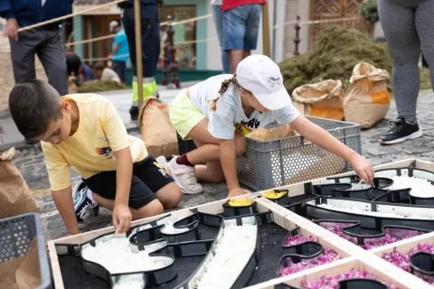 CORPUS 22-97 (Mediana)