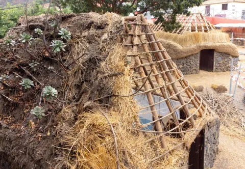 WhatsApp Image 2023-11-20 at 18.38.04