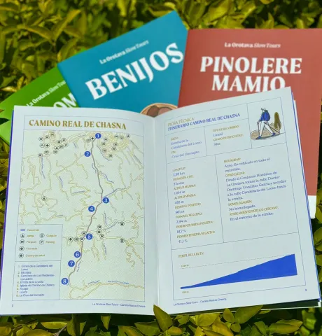 WhatsApp Image 2024-07-08 at 14.23.37