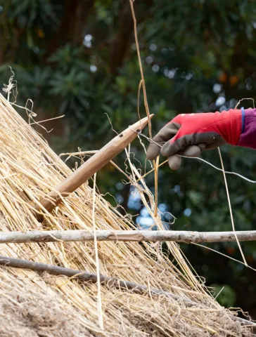 WhatsApp Image 2023-11-20 at 18.38.05 (1)