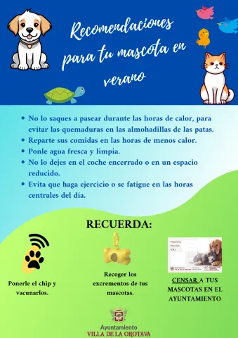 No lo saques a pasear durante las horas de calor, para evitar las quemaduras en las (1)