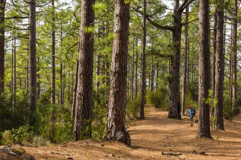 Captura de pantalla 2017-07-05 a las 17.56.27