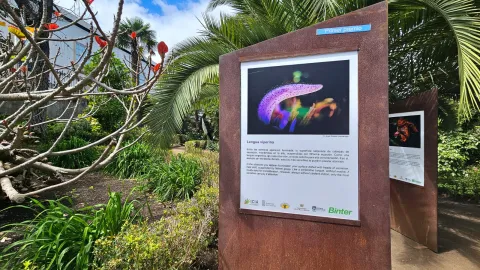 WhatsApp Image 2024-04-30 at 15.10.44 (1)