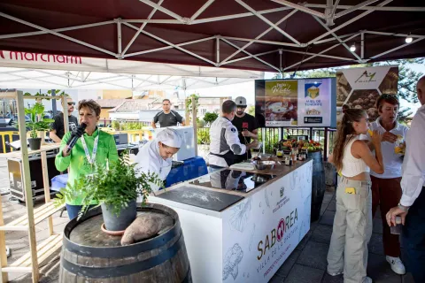 WhatsApp Image 2024-09-28 at 14.05.48 (1)