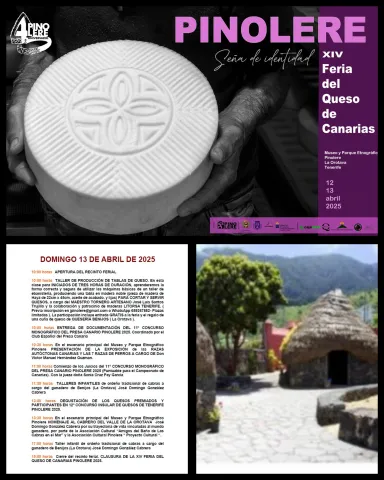 programa el domingo 13