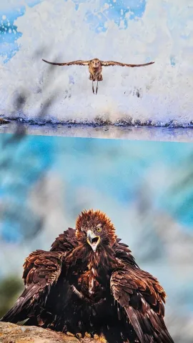 466013303_10232777936088426_6603480357109237728_n