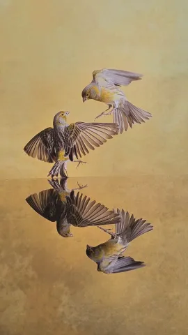 466315887_10232777936408434_8866562883796079042_n