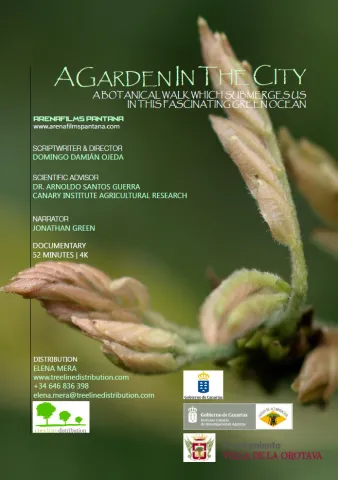 a_garden_in_the_city_1