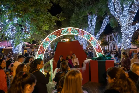 alumbrado navidad-44