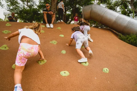 491107c2-1502-4a18-a535-c2ab43db81f1