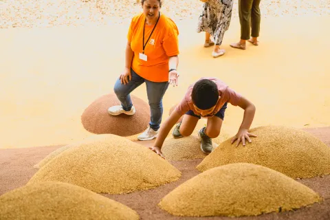 88e54f1e-beb1-4c97-864a-284950ae130b