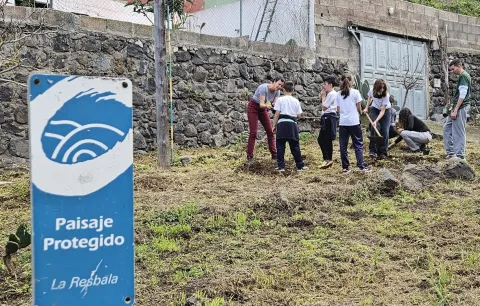 123cd9d2-7c2e-4b1a-940c-f541656bf6a5