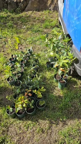 2c37e9c6-c9bf-4eb8-9fa7-8011c99dc534