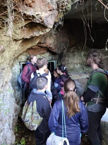 3a86e963-0dae-4363-ab91-4a604e1af9ed