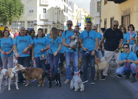 Cerca de 200 perros participaron en el Paseo Canino Solidario de La Orotava