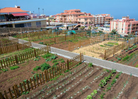 El Ayuntamiento abre este lunes el plazo para solicitar parcelas en el huerto ecológico urbano municipal 